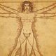 Illustration for article titled Toothed Vaginas and Wandering Uteri: The Seven Most Ridiculous Myths About Female Biology
